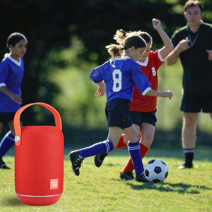 T&G TG107 Portable Wireless Bluetooth V4.2 Stereo Speaker with Handle, Built-in MIC, Support Hands-free Calls & TF Card & AUX IN & FM, Bluetooth Distance: 10m - Desktop Speaker by T&G | Online Shopping UK | buy2fix
