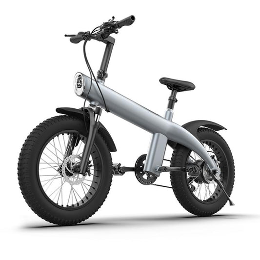 Q3 250W All-terrain Off-road Electric Bicycle with 20 inch Tires, EU Plug (Titanium Gray) - Electric Bicycles by buy2fix | Online Shopping UK | buy2fix