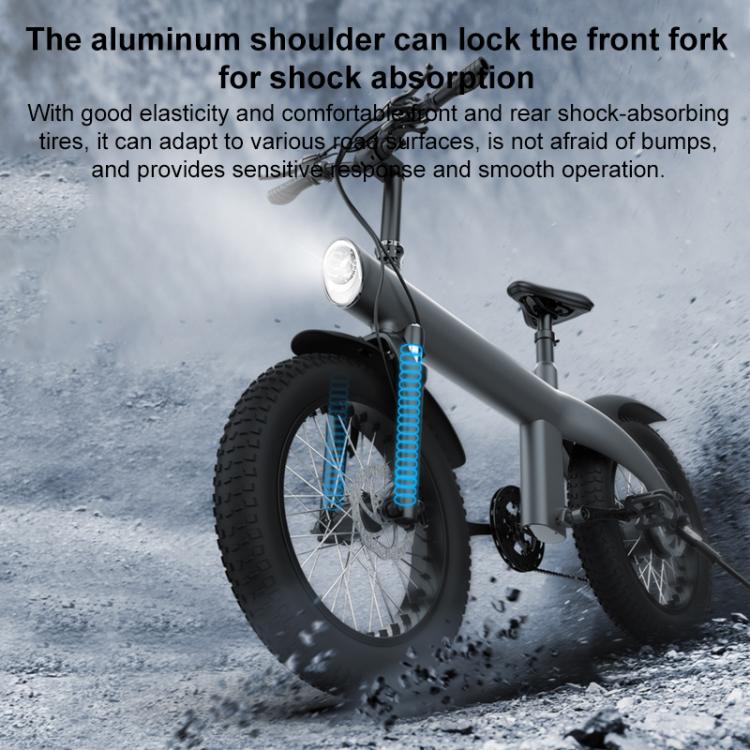 Q3 250W All-terrain Off-road Electric Bicycle with 20 inch Tires, EU Plug (Iron Black) - Electric Bicycles by buy2fix | Online Shopping UK | buy2fix