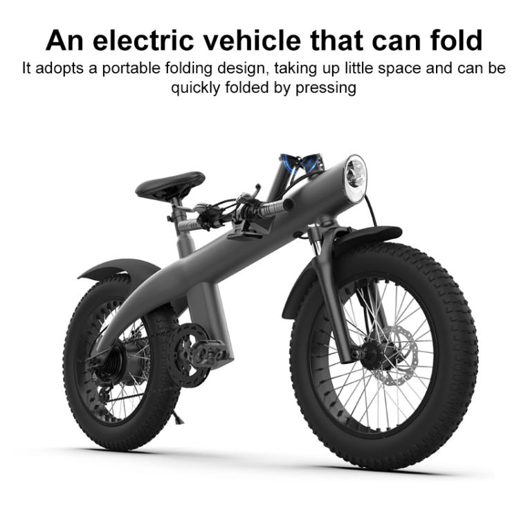 Q3 250W All-terrain Off-road Electric Bicycle with 20 inch Tires, EU Plug (Iron Black) - Electric Bicycles by buy2fix | Online Shopping UK | buy2fix