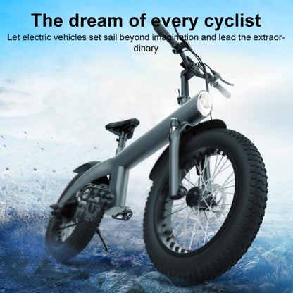 Q3 250W All-terrain Off-road Electric Bicycle with 20 inch Tires, EU Plug (Iron Black) - Electric Bicycles by buy2fix | Online Shopping UK | buy2fix