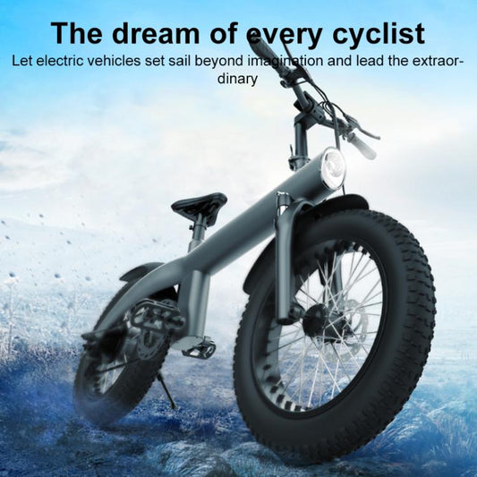 Q3 250W All-terrain Off-road Electric Bicycle with 20 inch Tires, EU Plug (Iron Black) - Electric Bicycles by buy2fix | Online Shopping UK | buy2fix