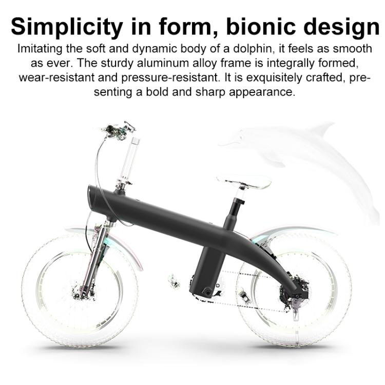 Q3 250W All-terrain Off-road Electric Bicycle with 20 inch Tires, EU Plug (Iron Black) - Electric Bicycles by buy2fix | Online Shopping UK | buy2fix