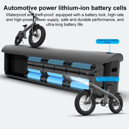 Q3 250W All-terrain Off-road Electric Bicycle with 20 inch Tires, EU Plug (Iron Black) - Electric Bicycles by buy2fix | Online Shopping UK | buy2fix