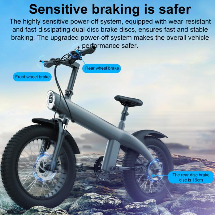 Q3 250W All-terrain Off-road Electric Bicycle with 20 inch Tires, EU Plug (Iron Black) - Electric Bicycles by buy2fix | Online Shopping UK | buy2fix