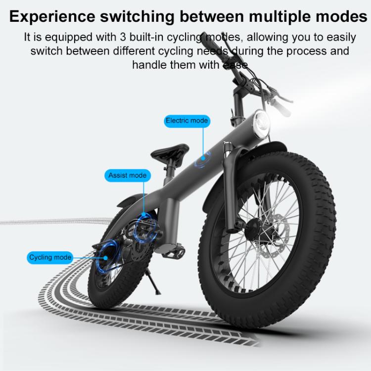 Q3 250W All-terrain Off-road Electric Bicycle with 20 inch Tires, EU Plug (Iron Black) - Electric Bicycles by buy2fix | Online Shopping UK | buy2fix