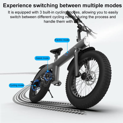 Q3 250W All-terrain Off-road Electric Bicycle with 20 inch Tires, EU Plug (Iron Black) - Electric Bicycles by buy2fix | Online Shopping UK | buy2fix