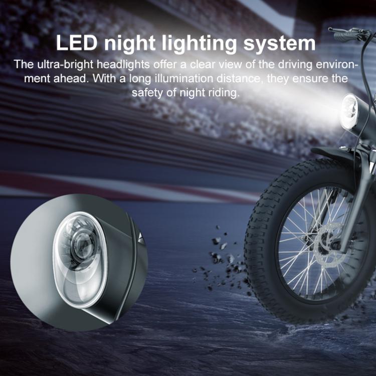 Q3 250W All-terrain Off-road Electric Bicycle with 20 inch Tires, EU Plug (Iron Black) - Electric Bicycles by buy2fix | Online Shopping UK | buy2fix