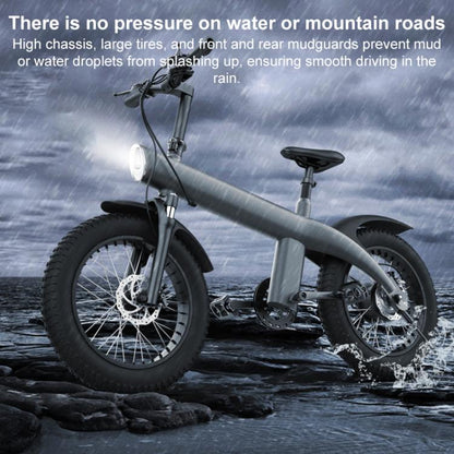 Q3 250W All-terrain Off-road Electric Bicycle with 20 inch Tires, EU Plug (Iron Black) - Electric Bicycles by buy2fix | Online Shopping UK | buy2fix