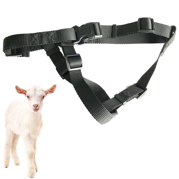 V34/V44Large Sheep & Small Hunting Dog Locator Set Anti-lost Device GPS Positioning Collar Set - Collars by buy2fix | Online Shopping UK | buy2fix