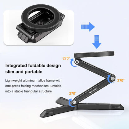 PULUZ MagSafe Desktop Live Streaming Magnetic Foldable Phone Holder Bracket (Black) - Desktop Holder by PULUZ | Online Shopping UK | buy2fix