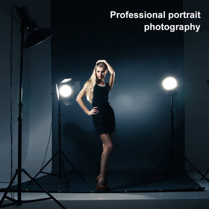 PULUZ 3m x 6m Photography Background Thickness Photo Studio Background Cloth Backdrop (Black) by PULUZ