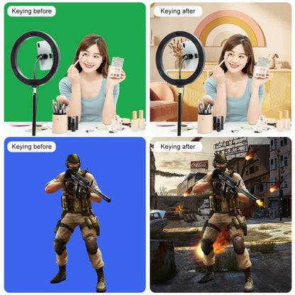 PULUZ 3m x 6m Photography Background Thickness Photo Studio Background Cloth Backdrop(Green) by PULUZ