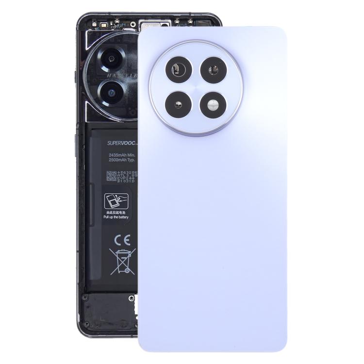 For OnePlus Ace 5 Pro 5G Original Glass Battery Back Cover with Camera Lens(Matte Purple) - Back Cover by buy2fix | Online Shopping UK | buy2fix