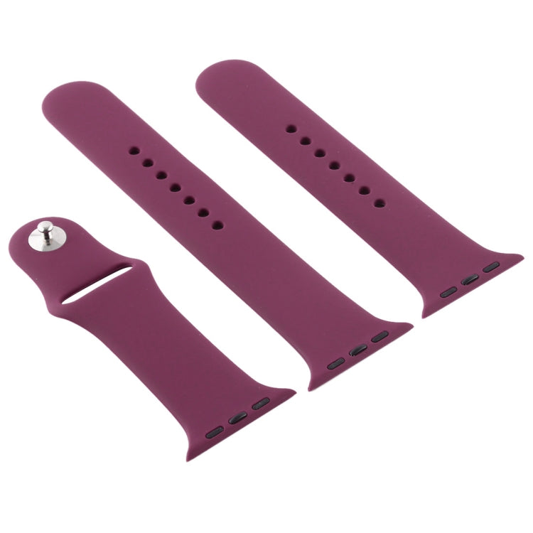 For Apple Watch Series 10 42mm / 9&8&7 41mm / SE 3&SE 2&6&SE&5&4 40mm / 3&2&1 38mm 3 in 1 Rubber Watch Band with Pin Buckle(Violet) by buy2fix