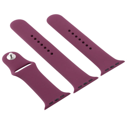 For Apple Watch Series 10 42mm / 9&8&7 41mm / SE 3&SE 2&6&SE&5&4 40mm / 3&2&1 38mm 3 in 1 Rubber Watch Band with Pin Buckle(Violet) by buy2fix