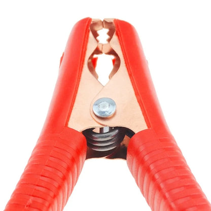 S-CMS-0452_5.jpg@58b97cc663e732eda634a62bc7a5188b