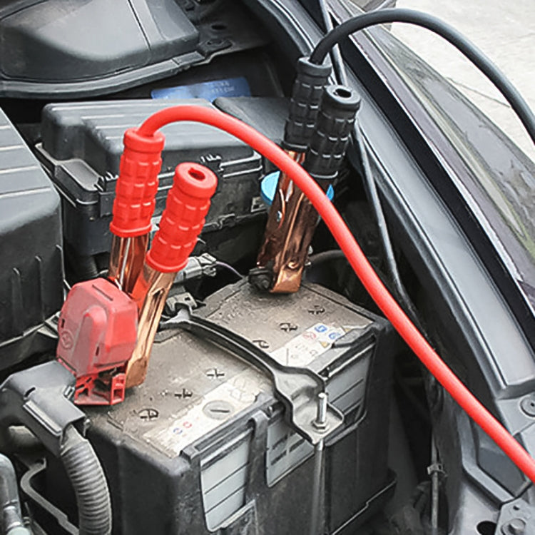 S-CMS-0452_6.jpg@e3262c93943898b8c507ee537b7554b0