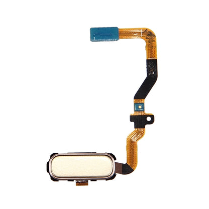 For Galaxy S7 / G930 Home Button Flex Cable(Gold) - Flex Cable by buy2fix | Online Shopping UK | buy2fix