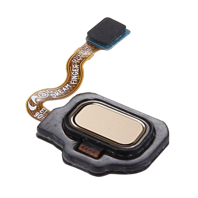 For Galaxy S8 / S8+ Fingerprint Button Flex Cable(Gold) - Flex Cable by buy2fix | Online Shopping UK | buy2fix