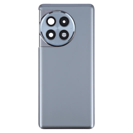 For OnePlus Ace 2 Pro PJA110 Original Glass Battery Back Cover with Camera Lens(Grey) by buy2fix