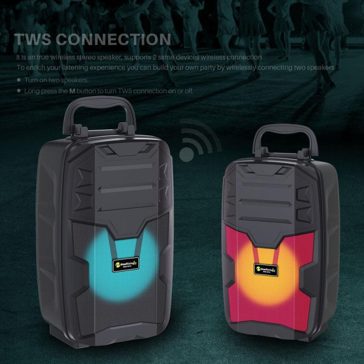 NewRixing NRG401C Outdoor Portable Karaoke Wireless Speaker High-Power Audio Amplifier No Mic(Black) - Desktop Speaker by NewRixing | Online Shopping UK | buy2fix