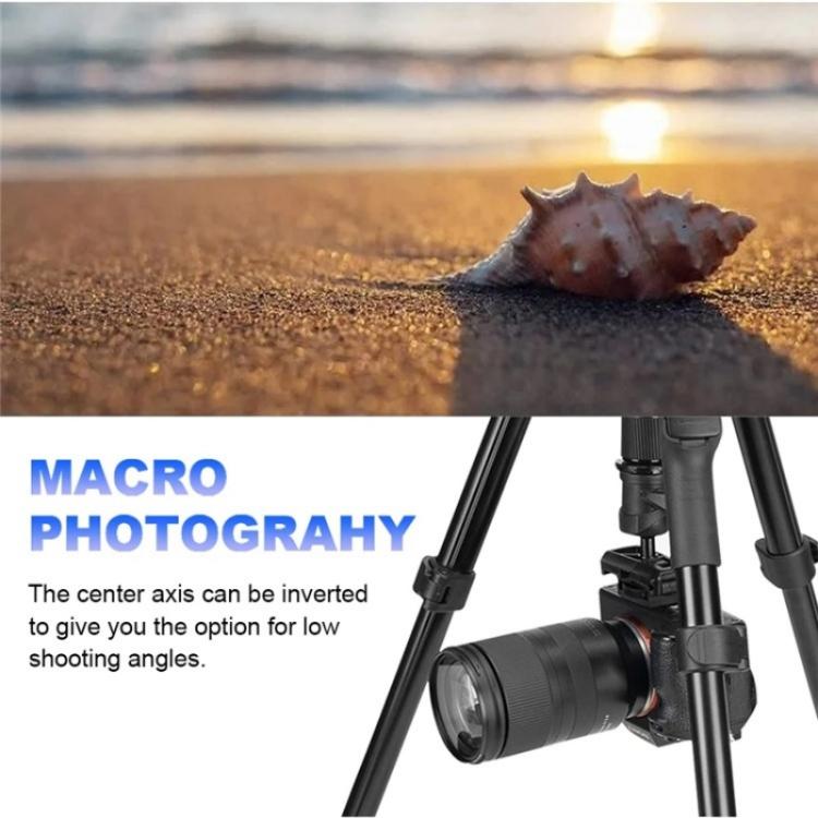 YUNTENG VCT-180 Selfie Stick Foldable Photography Camera Tripod Live Streaming Stand - Tripods by YUNTENG | Online Shopping UK | buy2fix