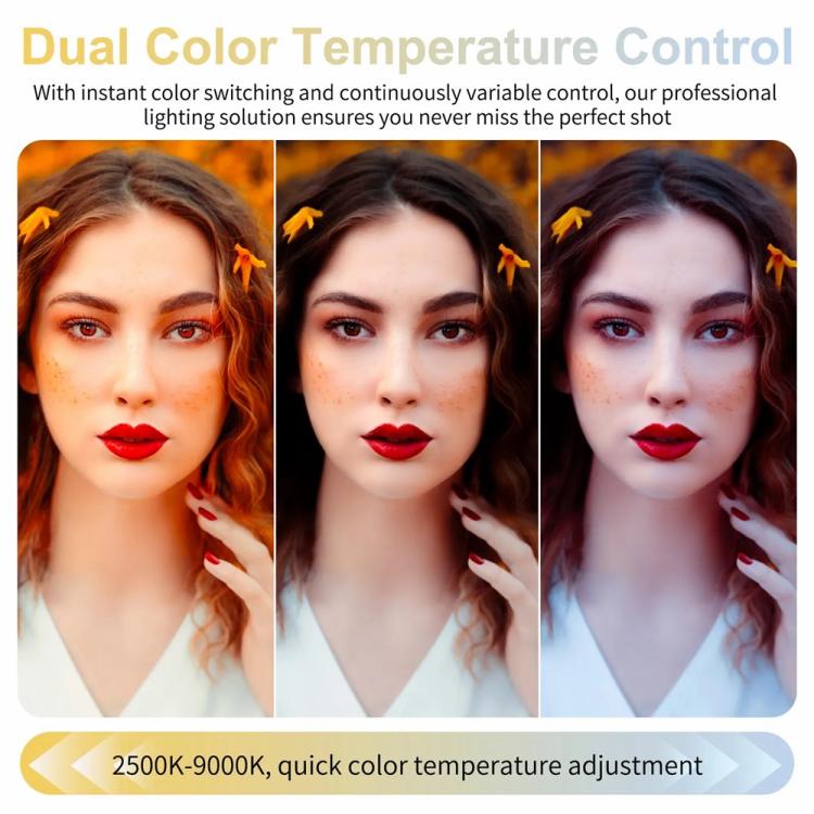 JMARY FM-168R Dual Color Temperature 160 LED Beads Portable Magnetic Phone Fill Light(White) -  by Jmary | Online Shopping UK | buy2fix