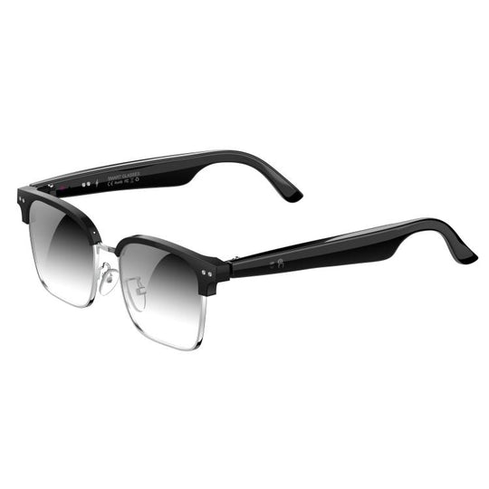 W100D Smart Glasses, Support AI Intelligent Translation / AI Conversation / BT Calling(Photochromic)