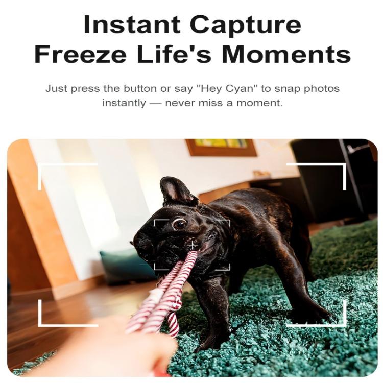 SYA0031697_B7.jpg@78a29c6d203bd4f0158beece7e1a6a25