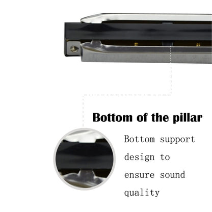Swan 10 Holes Full-scale Bruce Harmonica Beginner Children Adult Students Playing Musical Instruments - Wind Instrument Accessories by buy2fix | Online Shopping UK | buy2fix