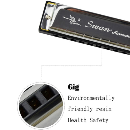 Swan 10 Holes Full-scale Bruce Harmonica Beginner Children Adult Students Playing Musical Instruments - Wind Instrument Accessories by buy2fix | Online Shopping UK | buy2fix