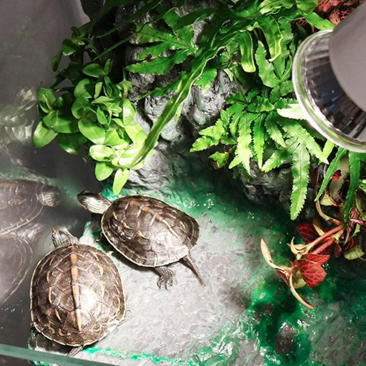 UVA+UVB Full Spectrum Solar Reptile Lamp Lizard Light Turtle Basking Lamp, Specification: 75W - Reptile Supplies by buy2fix | Online Shopping UK | buy2fix