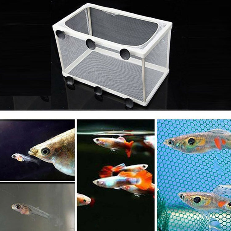 Large Aquarium Incubator Small Fish Isolation Box Net Tropical Fish Breeding Box - Reptile Supplies by buy2fix | Online Shopping UK | buy2fix