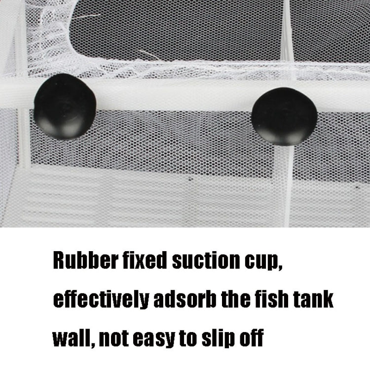 Small Aquarium Incubator Small Fish Isolation Box Net Tropical Fish Breeding Box - Fish Tanks & Accessories by buy2fix | Online Shopping UK | buy2fix