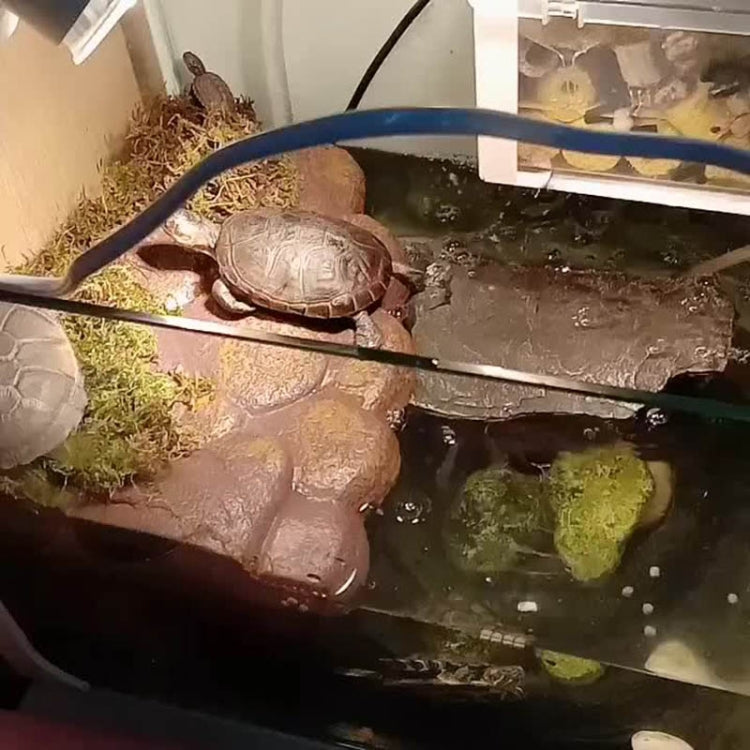 Small Pet Turtle Magnetic Floating Island Basking Platform - Reptile Supplies by buy2fix | Online Shopping UK | buy2fix