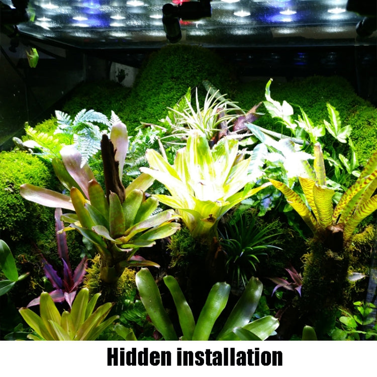 Reptile Pet Terrarium Ecological Landscaping Rainforest Cylinder Spray Atomization Cooling Four Nozzles - Fish Tanks & Accessories by buy2fix | Online Shopping UK | buy2fix