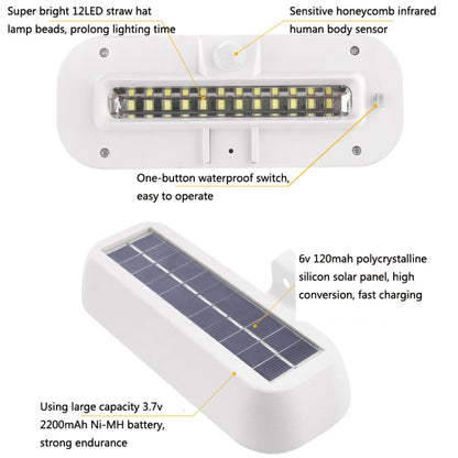 12 LED Solar Outdoor Waterproof Body Sensor Wall Light(Black Shell-White Light) - Solar Lights by buy2fix | Online Shopping UK | buy2fix