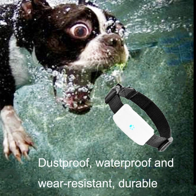 TK911 Pet Waterproof GPS Tracker - Pet Tracker by buy2fix | Online Shopping UK | buy2fix