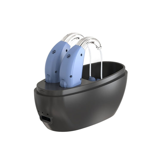 Elderly Use Can Charge Sound Amplifier Hearing Aid, Specification: US Plug(Blue Double Machine+Black Charging Bin) by buy2fix