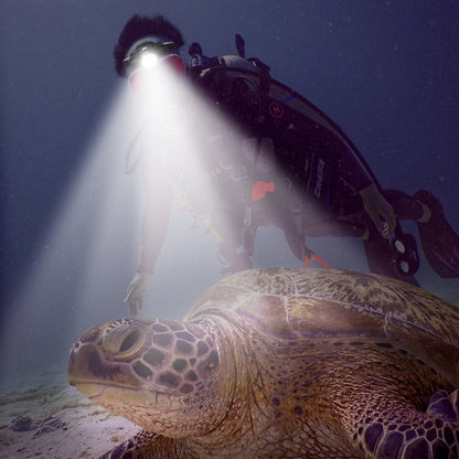 Diving Headlamp 60m Underwater Headlight XM-L2 Led Scuba head Flashlight(Without Battery&Charger) by buy2fix