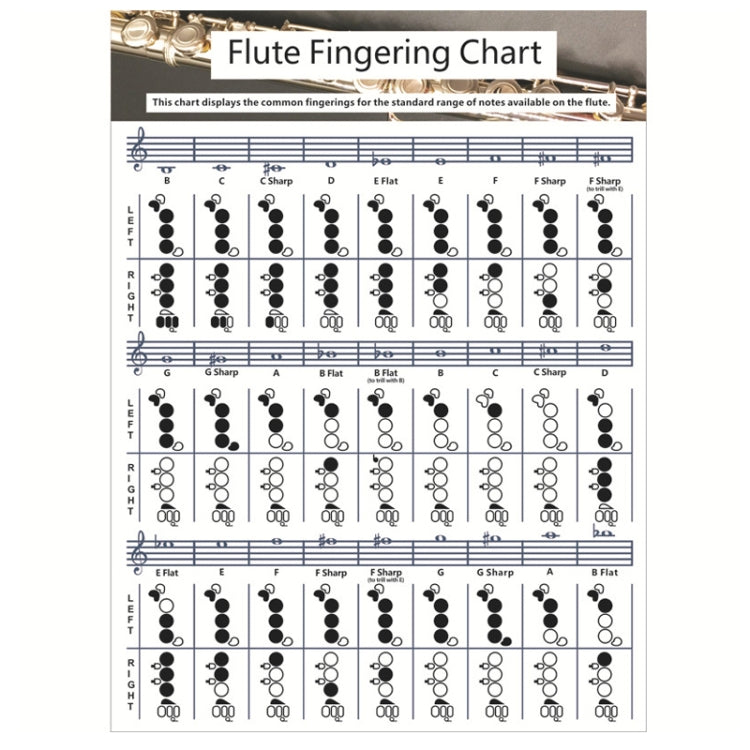 Coated Paper Flute Chord Fingering Practice Chart Staff Chord Fingering(Large) - Other Accessories by buy2fix | Online Shopping UK | buy2fix