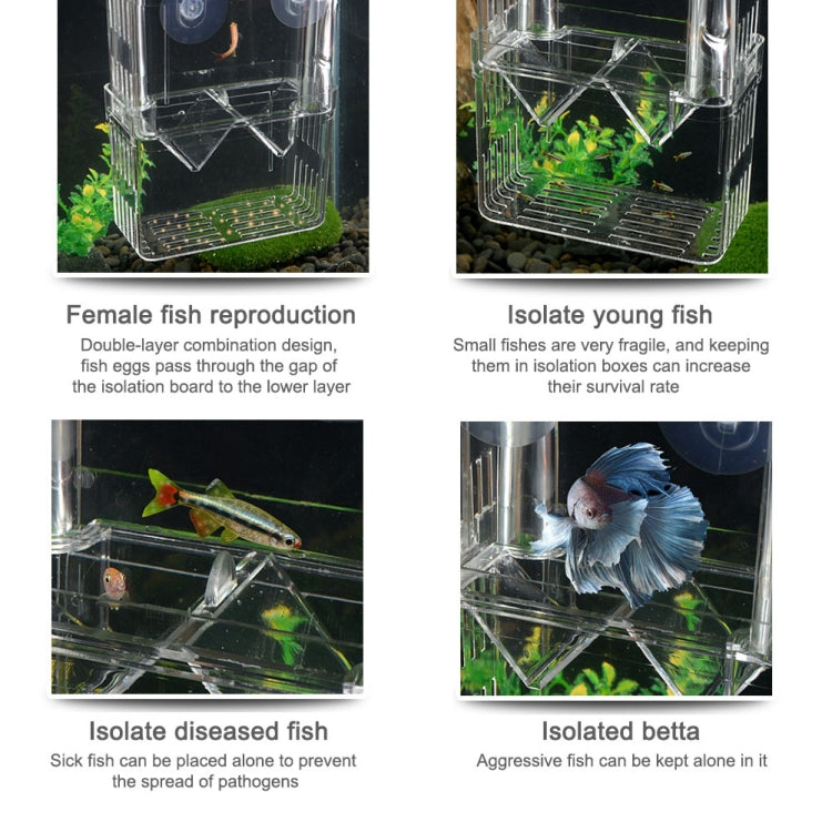 Large Peacock Fish Double Layer Transparent Breeding Isolation Box Aquarium Breeding Box - Fish Tanks & Accessories by buy2fix | Online Shopping UK | buy2fix