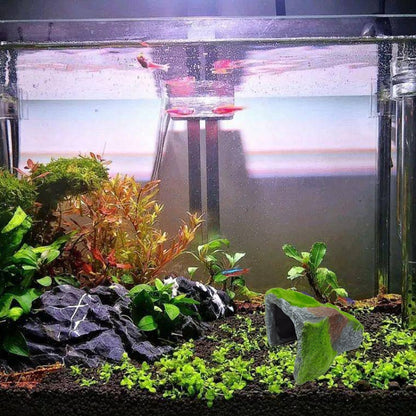 ZR647 Flocked Caple Box Turtle Hiding Nest Moss Cave Turtle Cave Sunbed - Reptile Supplies by buy2fix | Online Shopping UK | buy2fix