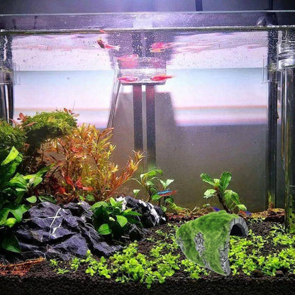 ZR7662 Flocked Caple Box Turtle Hiding Nest Moss Cave Turtle Cave Sunbed - Reptile Supplies by buy2fix | Online Shopping UK | buy2fix