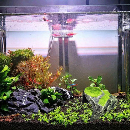 FGT48 Flocked Caple Box Turtle Hiding Nest Moss Cave Turtle Cave Sunbed - Reptile Supplies by buy2fix | Online Shopping UK | buy2fix