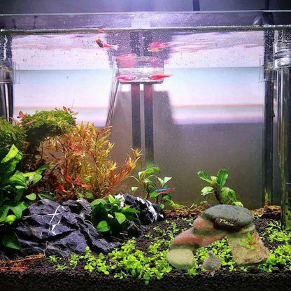 GT001 Resin Turtle Sunbed Climbing Table Stump Hideaway House Sunback Table - Reptile Supplies by buy2fix | Online Shopping UK | buy2fix