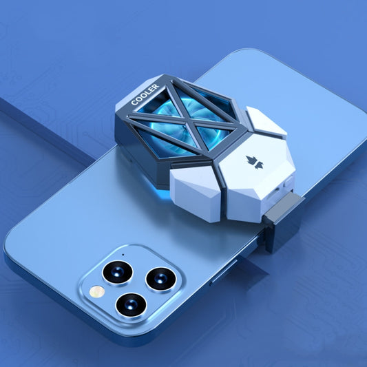 Mobile Phone Universal Radiator With Two Speed Ultra Long Battery Life Charging Model Black White by buy2fix