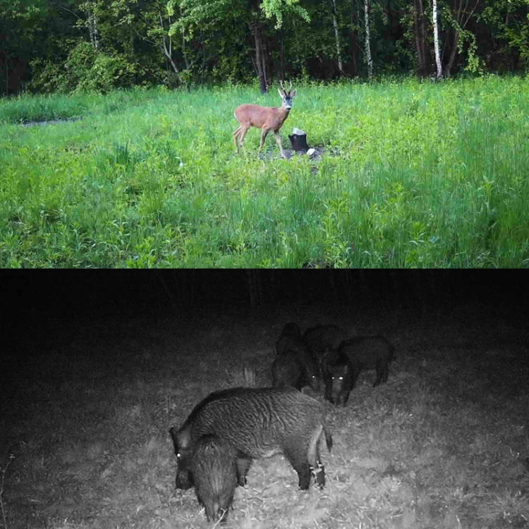 HC-801A-Li Outdoor Infrared Night Vision Lithium Battery Monitoring Camera by buy2fix