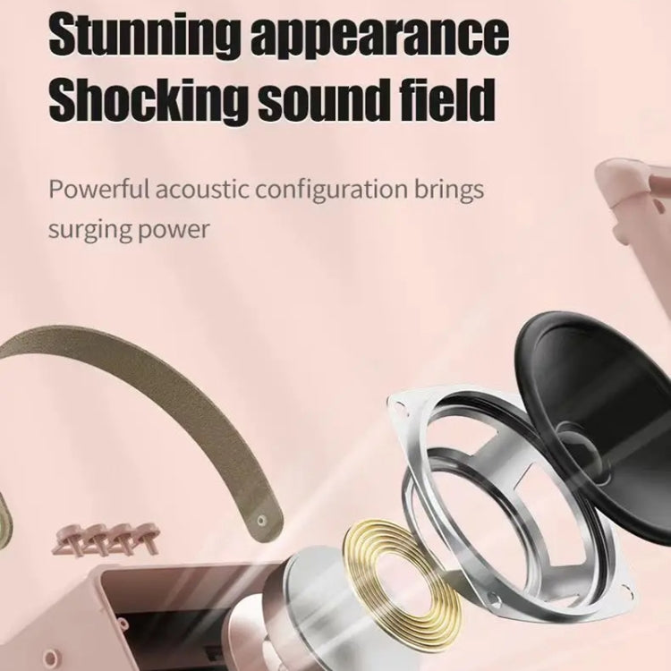 Portable Bluetooth Speaker Home Mini Karaoke Audio, Style: Microphone+Speaker(Pink) - Mini Speaker by buy2fix | Online Shopping UK | buy2fix